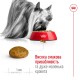 Royal Canin X-Small Adult Сухий корм для дорослих собак мініатюрних порід 3кг