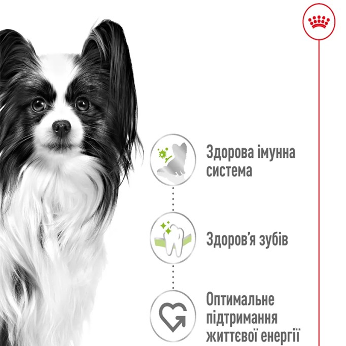 Royal Canin X-Small Adult Сухий корм для дорослих собак мініатюрних порід 500 г