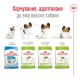 Royal Canin X-Small Adult Сухий корм для дорослих собак мініатюрних порід 3 кг