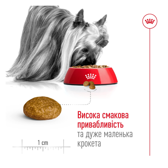 Royal Canin X-small Adult 8+ Сухий корм для зрілих собак мініатюрних порід (від 8 до 12 років) 3кг