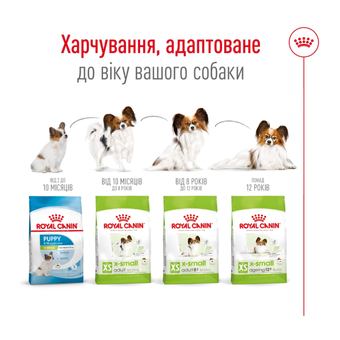 Royal Canin X-small Adult 8+ Сухий корм для зрілих собак мініатюрних порід (від 8 до 12 років) 3кг