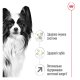 Royal Canin X-small Adult 8+ Сухий корм для зрілих собак мініатюрних порід (від 8 до 12 років) 3кг