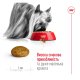 Royal Canin X-small Adult 8+ Сухий корм для зрілих собак мініатюрних порід (від 8 до 12 років) 3кг