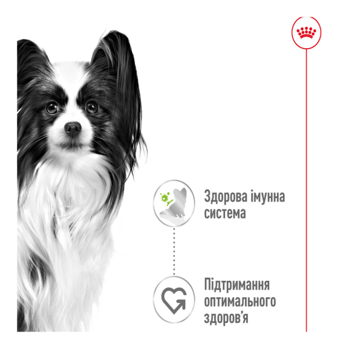 Royal Canin X-small Adult in gravy Вологий корм для дорослих собак мініатюрних порід (в соусі) 85г 12шт