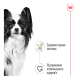 Royal Canin X-small Adult in gravy Вологий корм для дорослих собак мініатюрних порід (в соусі) 85г 12шт