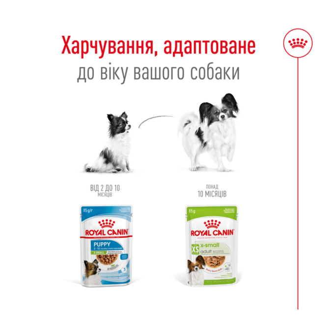 Royal Canin X-small Adult in gravy Вологий корм для дорослих собак мініатюрних порід (в соусі) 85г 12шт