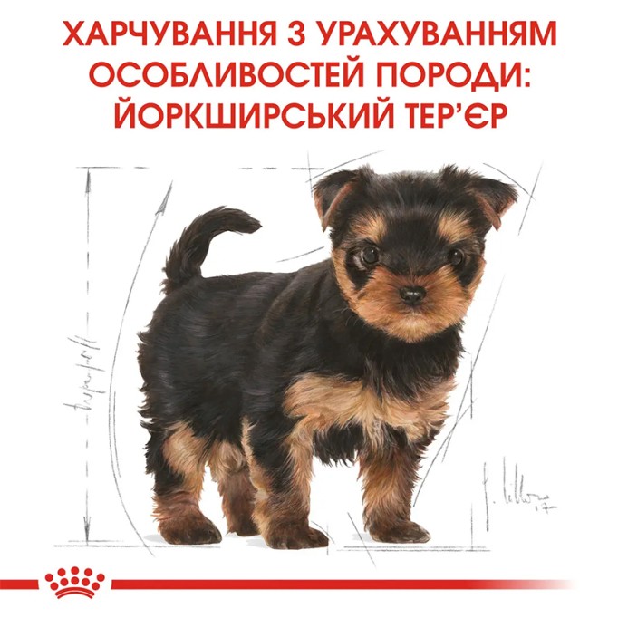 Royal Canin Yorkshire Terrier Puppy Сухий корм для цуценят породи Йоркширський тер'єр 7.5 кг