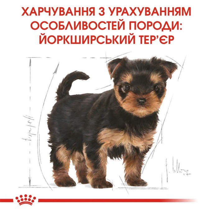 Royal Canin Yorkshire Terrier Puppy Сухий корм для цуценят породи Йоркширський тер'єр 500 г