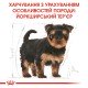 Royal Canin Yorkshire Terrier Puppy Сухий корм для цуценят породи Йоркширський тер'єр 500 г