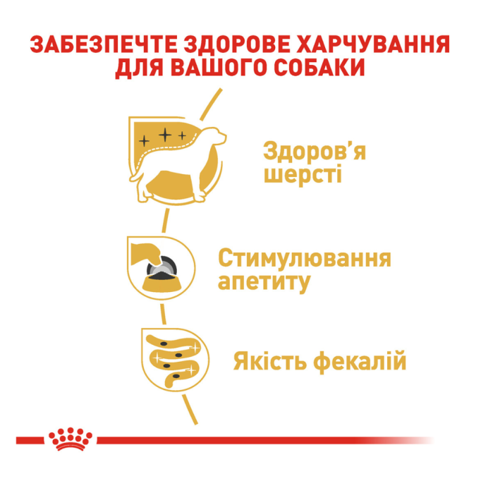 Royal Canin Yorkshire Terrier Adult Вологий корм для дорослих собак породи йоркширський тер'єр (паштет) 85г 12шт