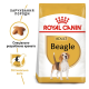 Royal Canin Beagle Adult Сухий корм для дорослих собак породи Бігль 3кг