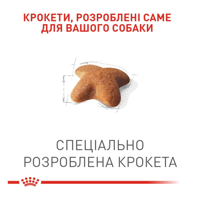 Royal Canin Beagle Adult Сухий корм для дорослих собак породи Бігль 3кг