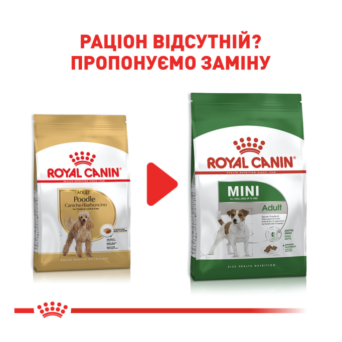 Royal Canin Poodle Adult Сухий корм для дорослих собак породи Пудель 1,5кг
