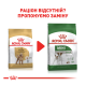 Royal Canin Poodle Adult Сухий корм для дорослих собак породи Пудель 1,5кг