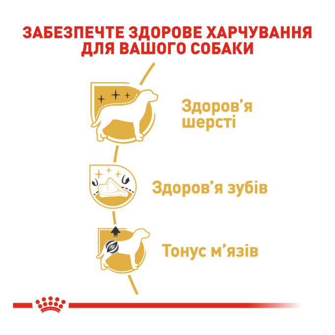 Royal Canin Poodle Adult Сухий корм для дорослих собак породи Пудель 1,5кг