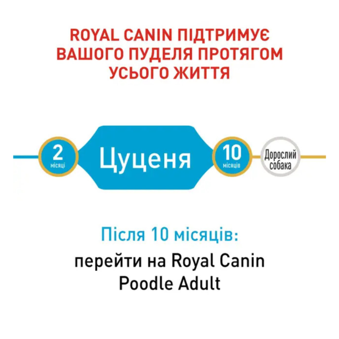 Royal Canin Poodle Puppy Сухий корм для цуценят породи Пудель 500г