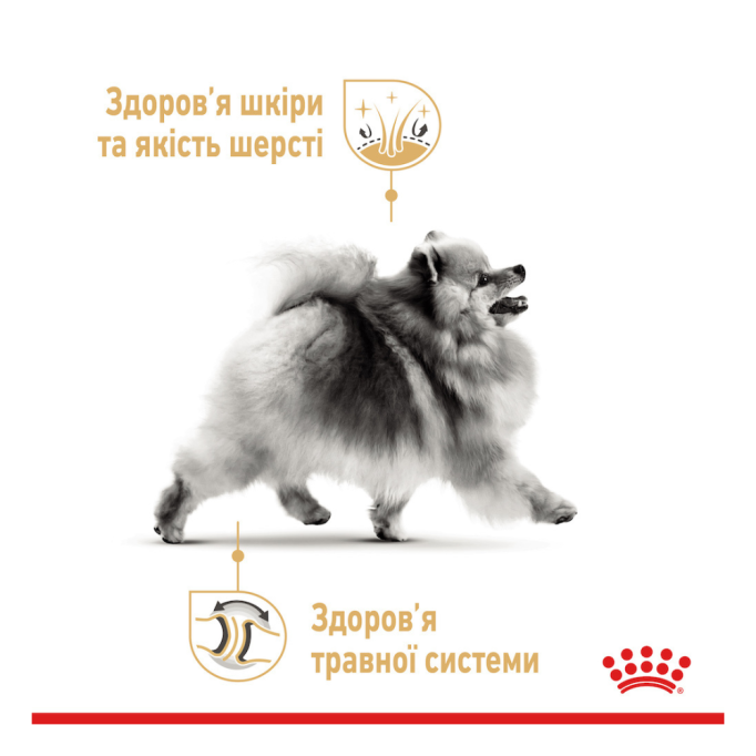 Royal Canin Pomeranian Adult Вологий корм для дорослих собак породи шпіц (паштет) 85г 12шт