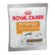 Royal Canin Energy Ласощі для дорослих собак з помірною та інтенсивною активністю 50г