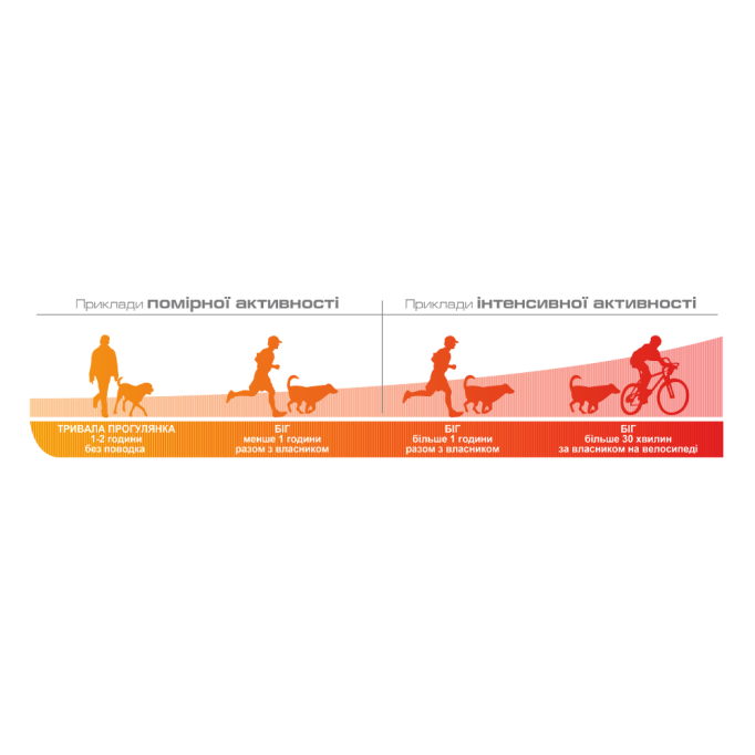 Royal Canin Energy Ласощі для дорослих собак з помірною та інтенсивною активністю 50г