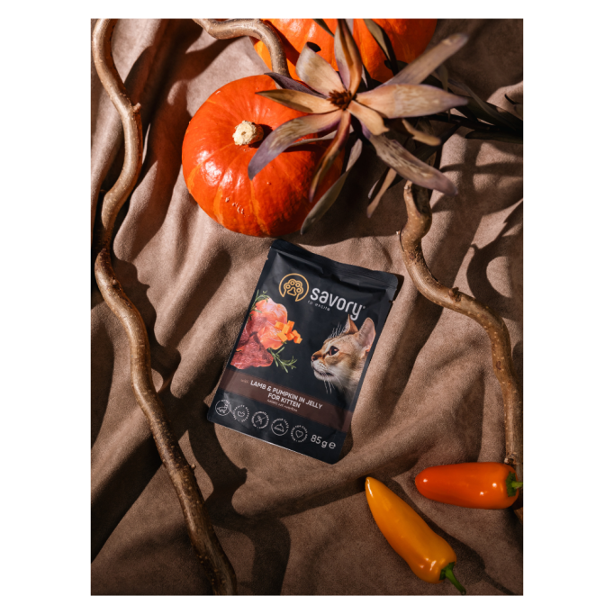Savory Kitten Pouch Lamb & Pumpkin in Jelly Вологий корм з ягням та гарбузом для кошенят (в желе) 85г 22шт