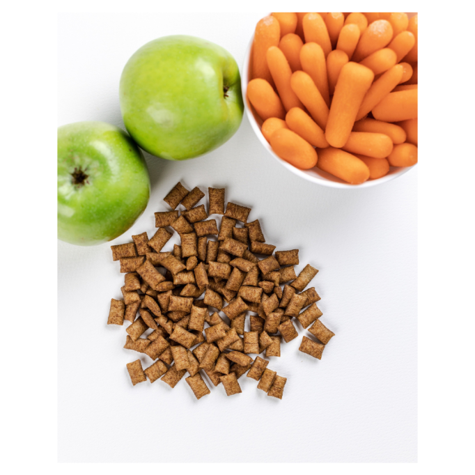 Savory Snack Dental Care Хрумкі подушечки для здоров'я зубів у дорослих котів 60г