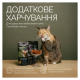 Savory Snacks Crunchy Balls Хрумкі кульки з котячою м’ятою для дорослих вибагливих котів 60г