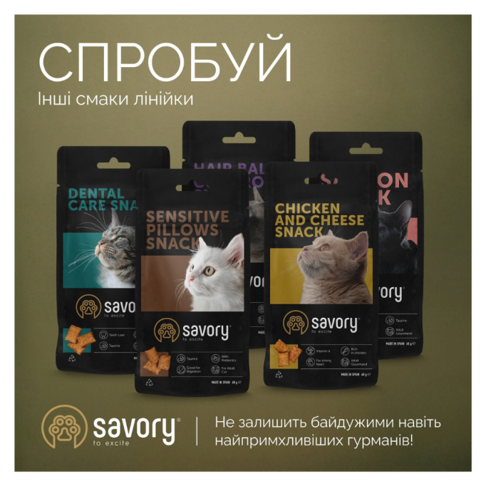 Savory Snacks Crunchy Balls Хрумкі кульки з котячою м’ятою для дорослих вибагливих котів 60г