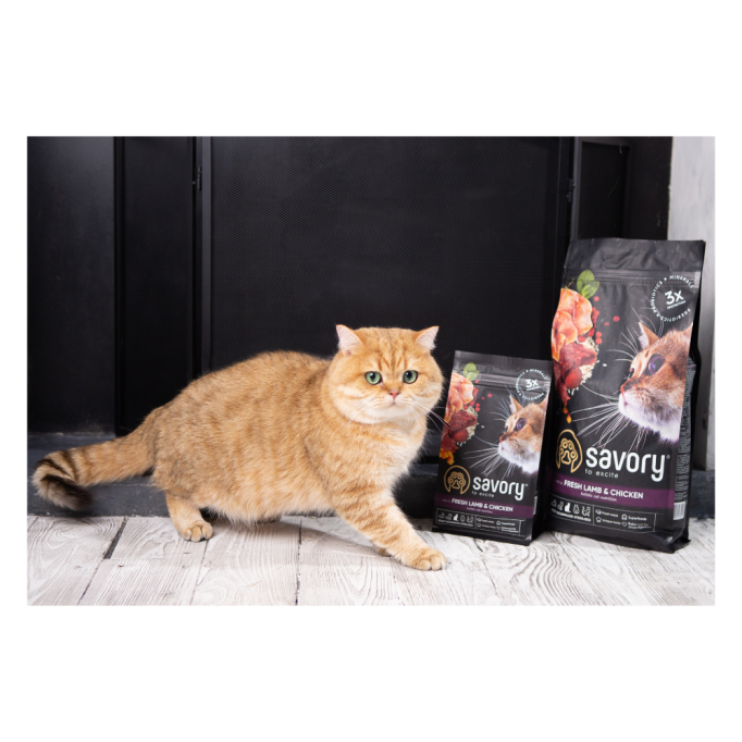 Savory Adult Cat Steril Fresh Lamb & Chicken Сухий корм для дорослих стерилізованих котів зі свіжим м’ясом ягняти та курки 2кг