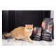 Savory Adult Cat Steril Fresh Lamb & Chicken Сухий корм для дорослих стерилізованих котів зі свіжим м’ясом ягняти та курки 2кг