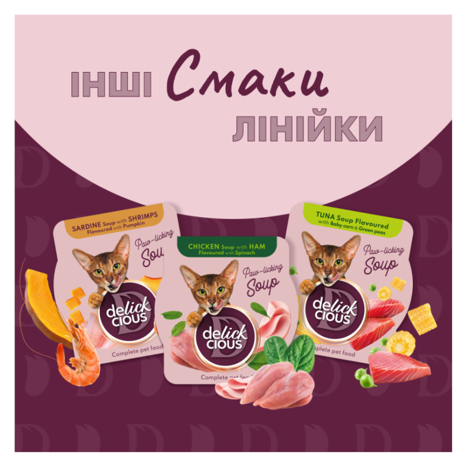 Delickcious Суп з курки з томатами та шпинатом Вологий корм для дорослих котів 80г
