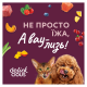 Delickcious Пластівці з індичкою та тропічними фруктами у вершковому соусі Вологий корм для дорослих собак 80г 12шт
