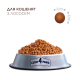 Club 4 Paws Kittens Salmon Сухий корм з лососем для кошенят 5кг