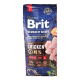 Brit Premium Junior L Сухий корм для цуценят і молодих собак великих порід 3кг