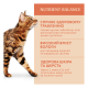 Optimeal Adult Cats Rabbit in white sauce Вологий корм з кроликом в білому соусі для дорослих котів 85г 12шт