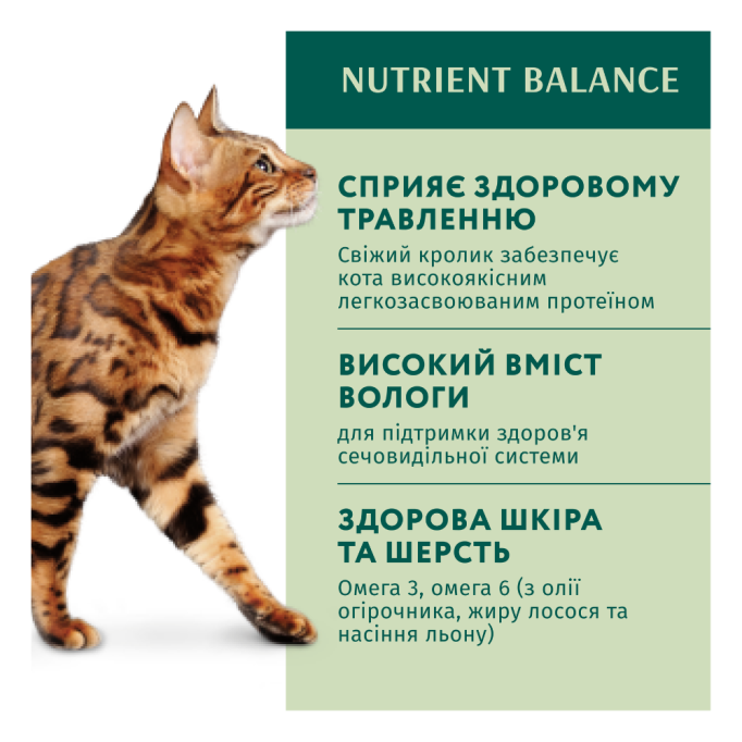 Optimeal Adult Cats Rabbit Carrot jelly Вологий корм з кроликом у морквяному желе для дорослих котів 85г 12шт