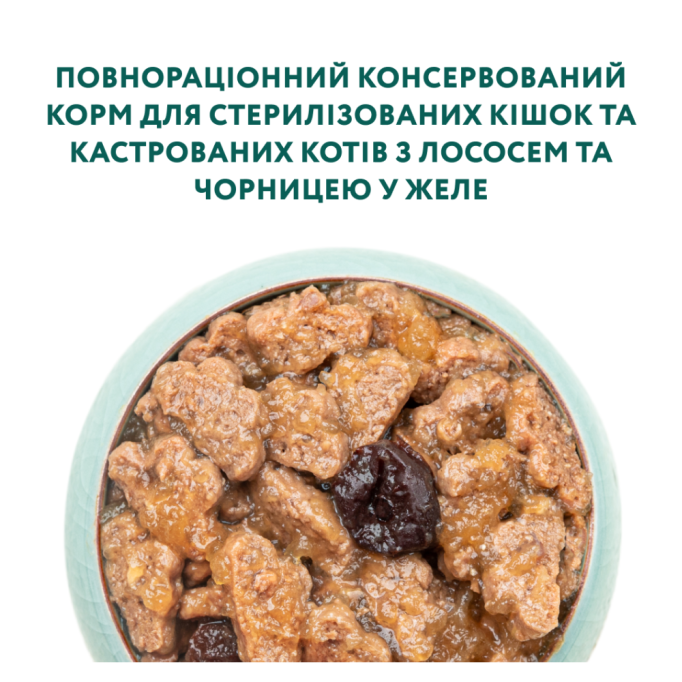 Optimeal Adult Cats Sterilised Salmon & Blueberries in jelly Вологий корм з лососем та чорницею для стерилізованих та кастрованих котів (в желе) 85г 12шт