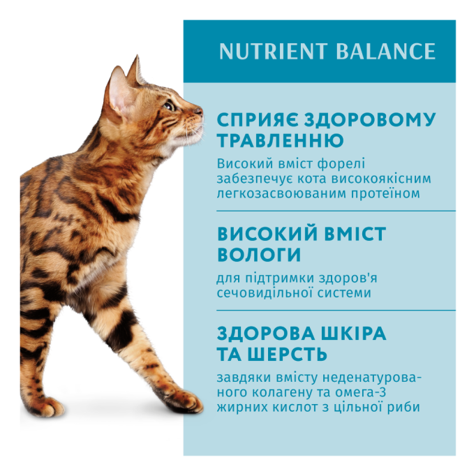 Optimeal Adult Cats Trout cream sause Вологий корм з фореллю в кремовому соусі для дорослих котів 85г 12шт