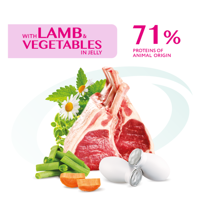 Optimeal Adult Cats Lamb & Vegetables Вологий корм з ягням та овочами для дорослих котів (в желе) 85г 12шт