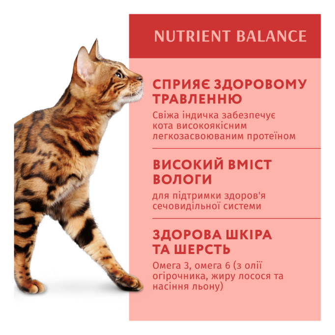 Optimeal Adult Cats Turkey Pumpkin sause Вологий корм з індичкою в гарбузовому соусі для дорослих котів 85г 12шт
