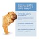 Optimeal Adult Dogs Hypoallergenic Medium & Large Breeds Salmon Гіпоалергенний сухий корм з лососем для дорослих собак середніх та великих порід 4кг