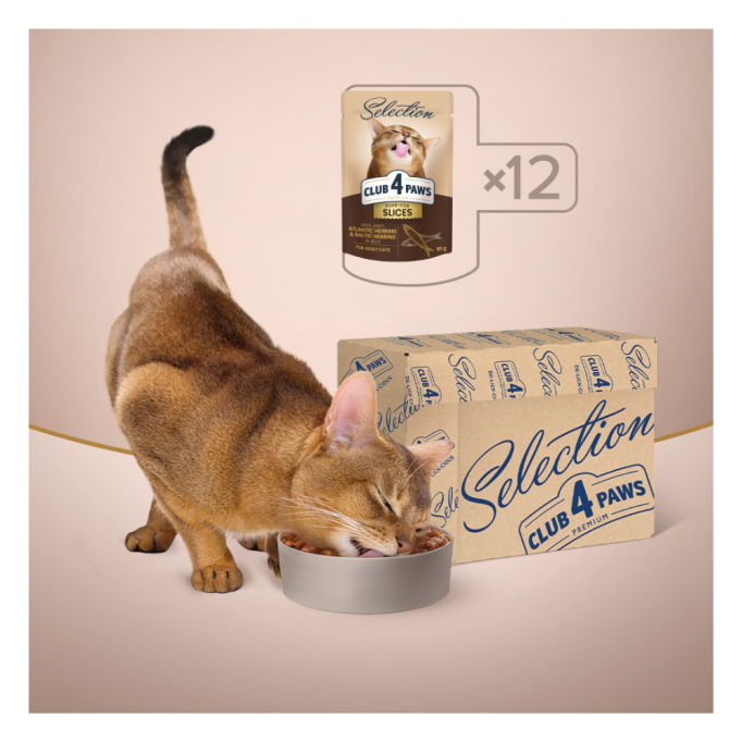 Club 4 Paws Premium Plus Selection Вологий корм зі шматочками оселедця і салаки в желе для дорослих котів 80г 12шт