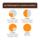 Club 4 Paws Вологий корм з лососем для дорослих котів (в желе) 85г 24шт